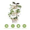 3 Tiered Wall Hanging Plant Terrarium with 12 Test Tubes