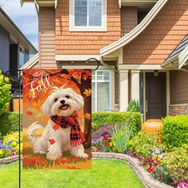 Hello Fall Garden Flag 12x18 Double Sided, Maltese-Dog Garden Flag Maple Leaves Fall Thanksgiving Outside Outdoor House Yard Decoration(6765)