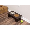 INTERNET'S BEST Traditional Elevated Pet Feeder - Raised Dog Food