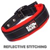 Black Rhino Dog Collars for Medium Dogs - Adjustable Reflective