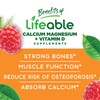 VitaWorks Lifeable Probiotic 2 Billion CFU + Calcium Magnesium, Gummies
