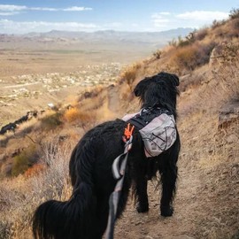 Nonstop Trail light dog backpack (Large)