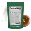 SaporePuro - Pectina NH 200 g per Nappage, Glasse e