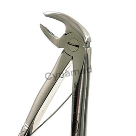 Dental Extracting Forceps Extracting Forceps DEFB Lower Root, Universal Extracting Forceps Dental Instruments