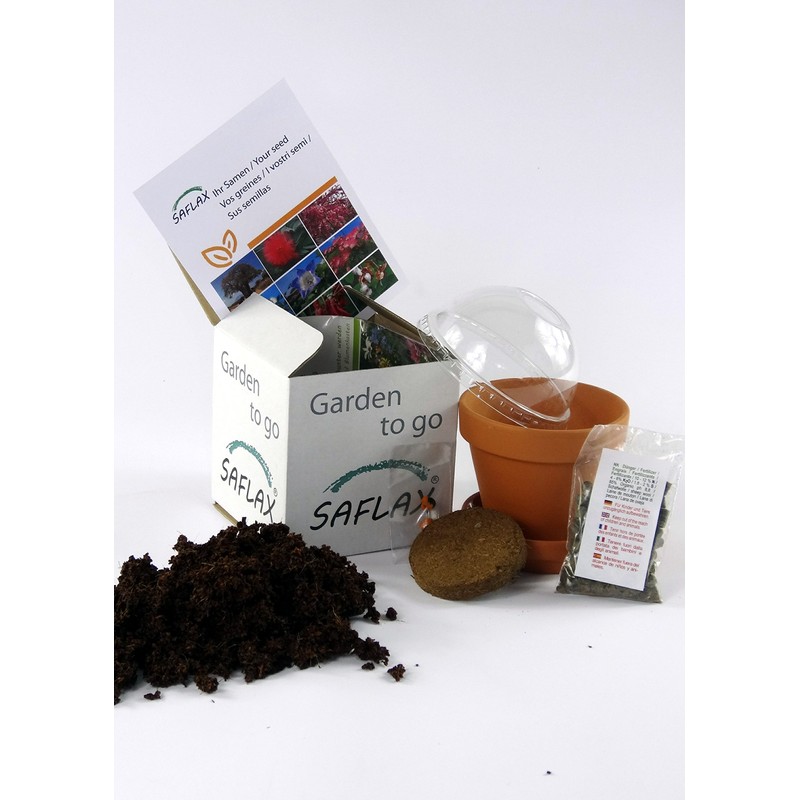 SAFLAX - Organic - Black Cumin - 300 Seeds -