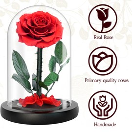 YOJOYI Everlasting Elegance - Enchanting Rose in Glass Dome, Eternal Flower, Preserved Roses That Last Forever - Perfect Gothic Gift for Women, Infinity Rose in Elegant Display