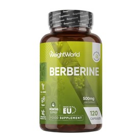 Berberine Supplement - 500mg per Capsule - 4 Months Supply - 120 Capsules - Stable Berberine Form- 1 per Day - Vegan-Friendly & Non-GMO - Sourced from Berberis Aristata