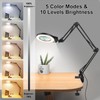 10X 5X Magnifying Glass Light Stand Swing Arm Desktop Lamp