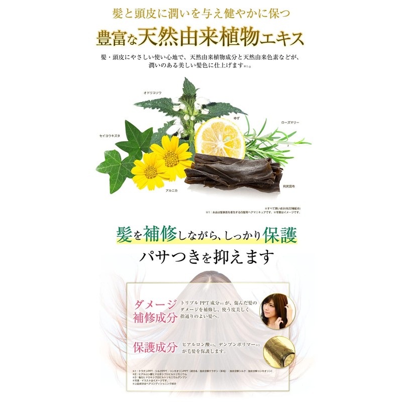 Rishiri Hair Color Treatment (Black) 7.1 oz (200 g) +