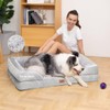 Comfort Expression Orthopedic Dog Bed for Large Dogs 38x25 Inch,