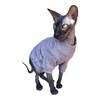 Kotomoda Cat Clothing Jumper Sparkling Mauve for Sphynx Cats (L)