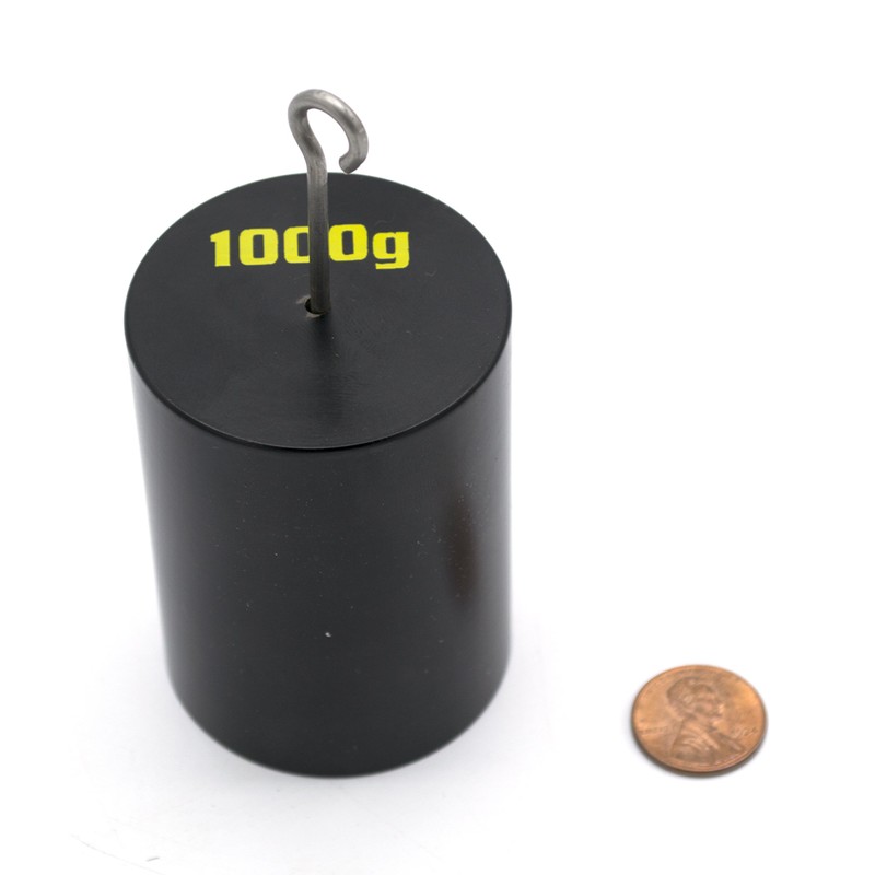 Double Hooked Iron Weight 1000 Grams (2.2 Lbs.) - Eisco