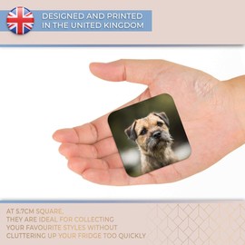 Destination Vinyl ltd Fridge Magnet - Brown Border Terrier Dog Puppy 15940