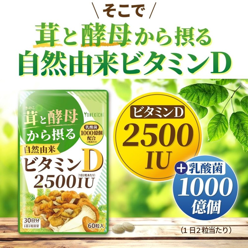 【自然由来 ビタミンD サプリメント】2500IU キノコと酵母から摂るビタミンD（舞茸 エリンギ 酵母） 乳酸菌 1000億個配合 国内製造 60粒