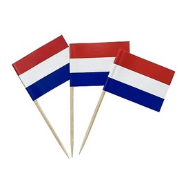 100PCS Netherlands Dutch Small Toothpick Flags Decor Mini Cupcake Toppers Cocktail Picks