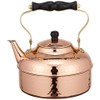 Sinkoukinzoku S-810H Kettle, Bare Copper, 0.6 gal (2.0 L) Hammered