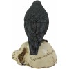 Ebros Gothic Raven Perching On Skull Statue 7.25" High Crow