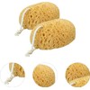 Esponja exfoliante corporal PHENOFICE – 2 piezas de celda de