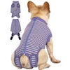 Caslfuca Dog Surgery Recovery Suit - After Spay, Abdominal Wounds