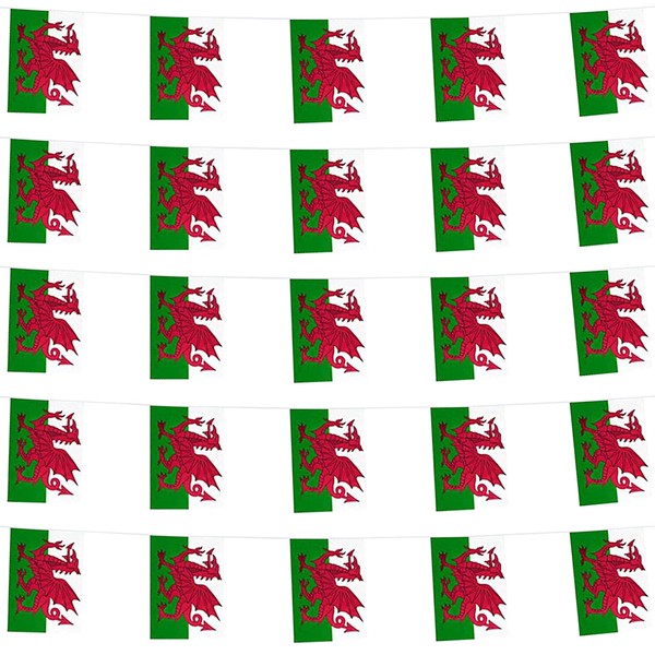 Wales Welsh Flag Bunting | 9 Metres or 29.5Ft Long