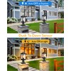 VIANIS Dusk to Dawn Outdoor Post Light Fixture with Pier