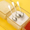 6Pcs Tiny Stainless Steel Spoons Mini Condiment Spoons Small 304