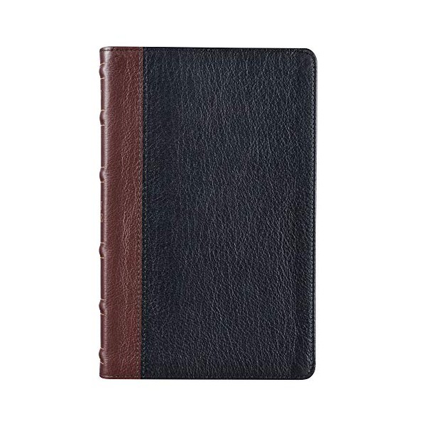 KJV Holy Bible, Standard Size, Premium Full Grain Leather Red