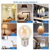 6Pcs Vintage LED Light Bulb Gold Glass Dimmable G45 E27