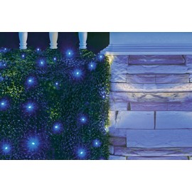 Rite Lite Chanukah Outdoor Light String with 20 Micro LED Blue Lights - Chanukah Light Decorations, Hanukkah Accessories, Hanukkah LED Lights, Hanukkah Gift