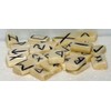 Casting Magic Water Buffalo Bone 25 Piece Elder Futhark Rune