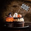 Checkered Black and White Racing Toothpick Flag Race Car Small