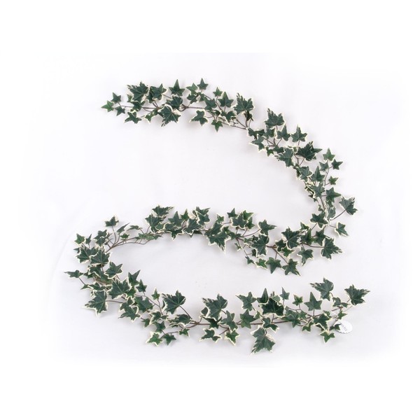 Variegated 6' English Ivy Garland - Pack of 6 Artificial