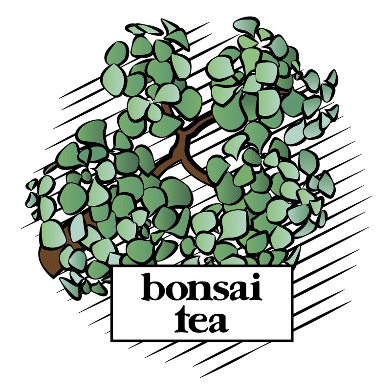Bonsai Tea Co. English Breakfast, Compatible with 2.0 Keurig K