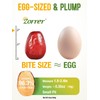 Zorrer Premium Jumbo Red Dates, 1 lb, Sun-Dried Jujube, No