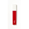 Fujiko Plumpy Lip Plumpy Lip Plumper Plump Tint Oil Water