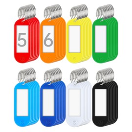 Teskyer 56 Pack Plastic Key Tags, Colorful Key Labels with Label Window Split Ring, Organize Your Keys and Stuff, 8 Colors