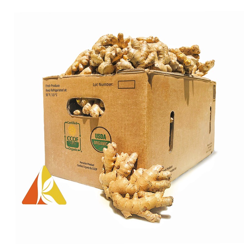 Kejora 100% ORGANIC Fresh Ginger Root - Source from Peru