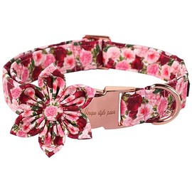Unique style paws Dog Collar with Flower, Red Pink Peony Dog Collar, Comfortable Cotton Flower Collar for Boys Girls Dogs, Flower Collar with Metal Buckle, XS, Neck 8-12 inches