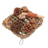 Bird Climbing Net Rattan Ball Pine Cone Corn Cob Nuts