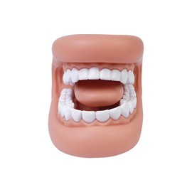Tiardey Tooth Model Brushing Teaching Tooth Model Enlarged Mouth Model For Lectures And Teaching Educational Tooth Model Hand-Wear Soft Model For Student Classroom