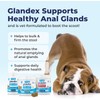 Vetnique Labs Glandex Anal Gland Soft Chew Treats with Pumpkin