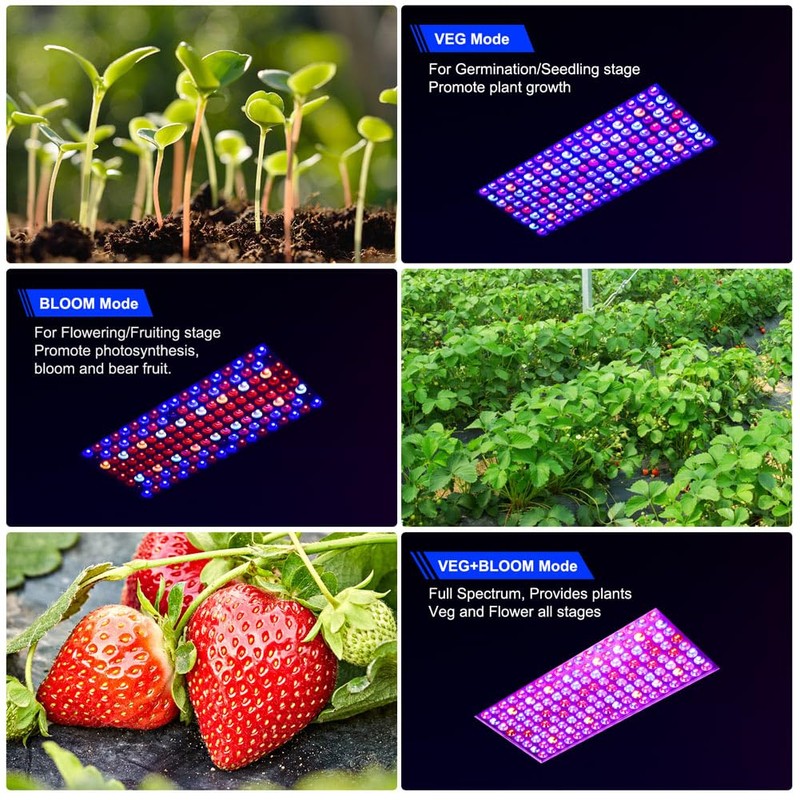 WZDRAGON Upgraded BW2000 LED Grow Lights Double Chips Full Spectrum