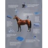 Harrison Howard- Kit de aseo para caballos de 9 piezas,