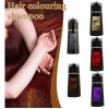 Champú Teñir Cabello Tinte Instantáneo