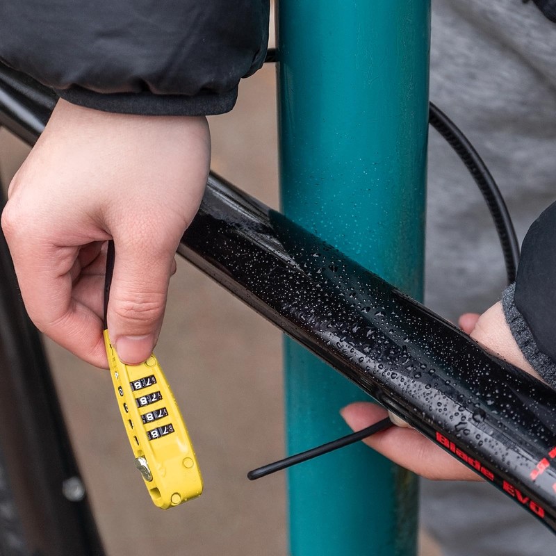 CXWXC Zip Tie Lock - 4-Digit Combo Cable Locks for