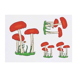 4 x 'Fairy Toadstools' Temporary Tattoos - Water Resistant, Skin-Safe, Non-Toxic Transfers, Mixed Sizes (TO00061748)