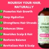 Pomberries Organic Moringa Oil with Rosehip, Jojoba & Vitamin E