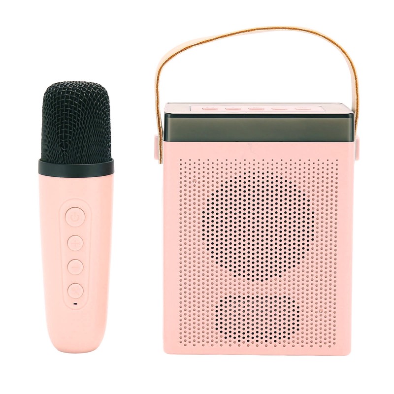Karaoke Machine Set with RGB Light Rechargeable Bluetooth Speaker with