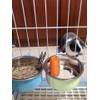 PINVNBY Rabbit Corner Litter Box with Drawer for Cage Small