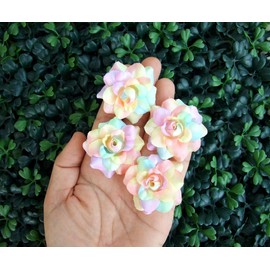 (50) Silk Rainbow Pastel Tones Roses Flower Head - 1.75" - Artificial Flowers Heads Fabric Floral Supplies Wholesale Lot for Wedding Flowers Accessories Make Bridal Hair Clips Headbands Dress